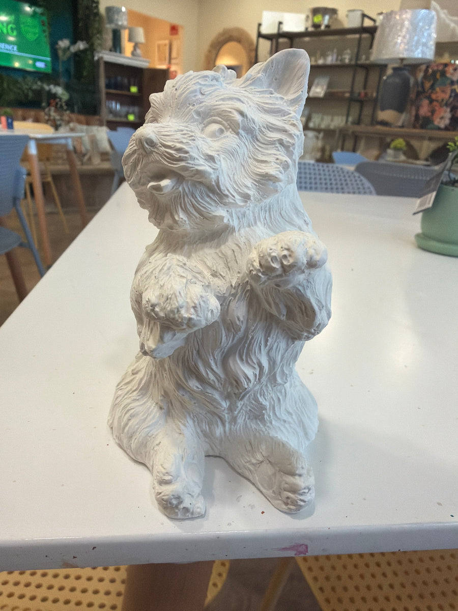 Perro grande - Yorkshire Terrier