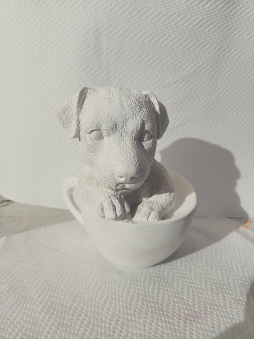 Perro Labrador en Taza
