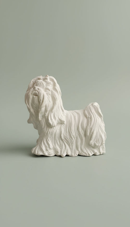 Perro grande - Shih Tzu