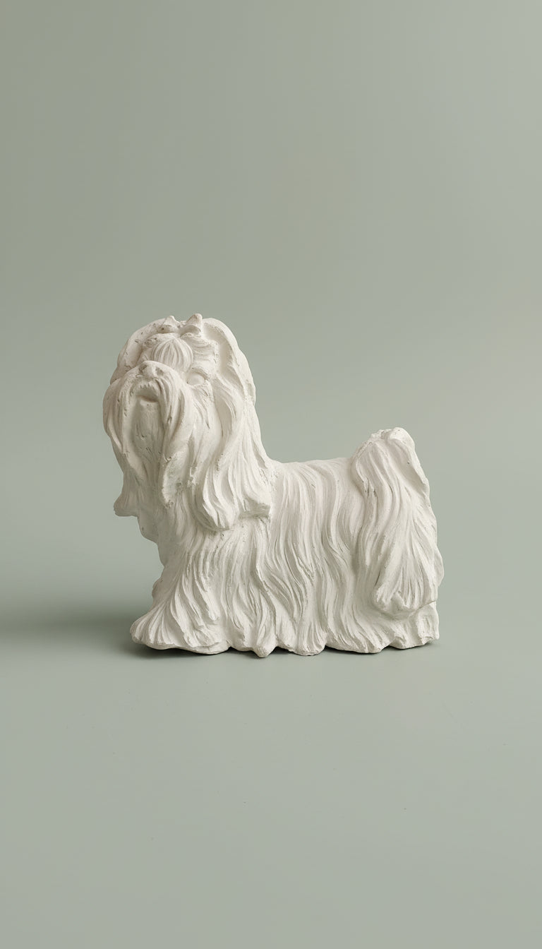 Perro grande - Shih Tzu