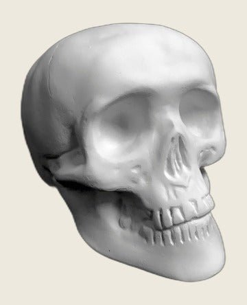 Pieza decorativa Calavera Conki de escayola