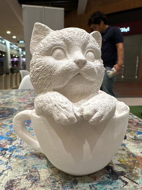Gato en Taza