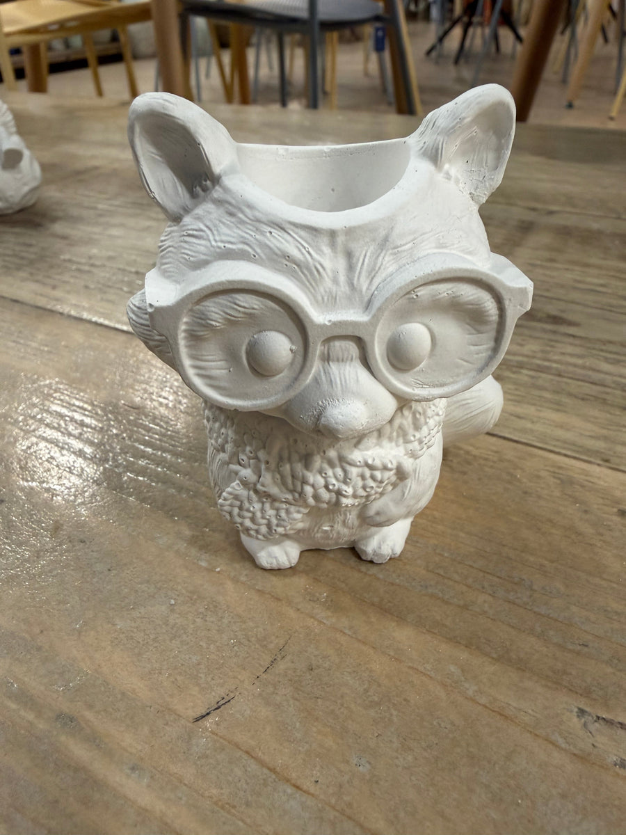 Maceta Zorro con Gafas